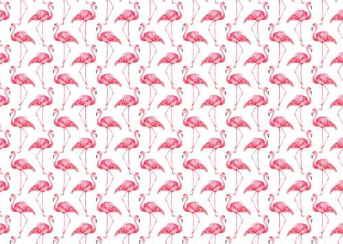 Printed Wafer Paper - Pink Flamingos - Click Image to Close
